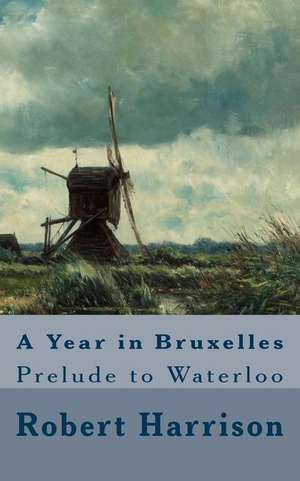 A Year in Bruxelles de Robert W. Harrison