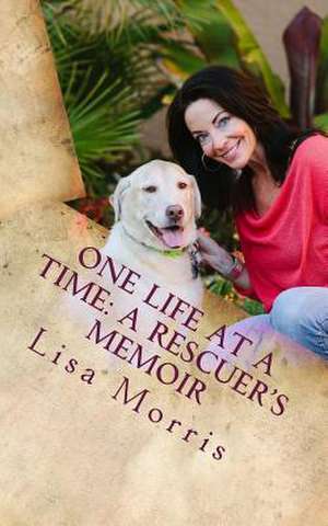 One Life at a Time de Lisa Morris