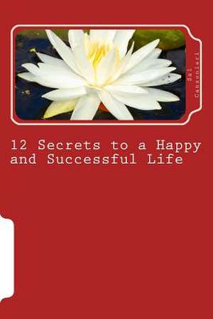 12 Secrets to a Happy and Successful Life de Salvatore Canzonieri