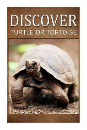 Turtle or Tortoise - Discover de Discover Press