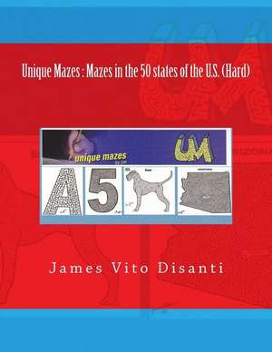 Unique Mazes: Mazes in the 50 States of the U.S. de James Vito Disanti