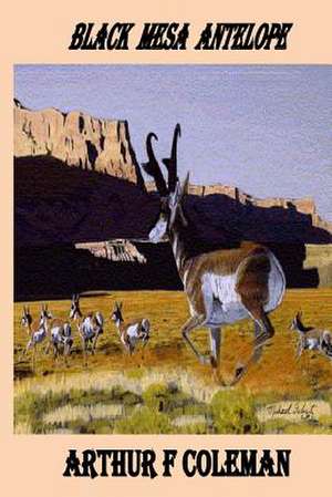 Black Mesa Antelope de Arthur Coleman