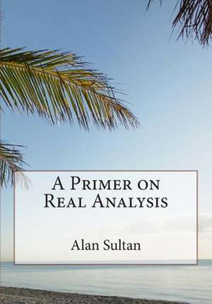 A Primer on Real Analysis de Alan Sultan