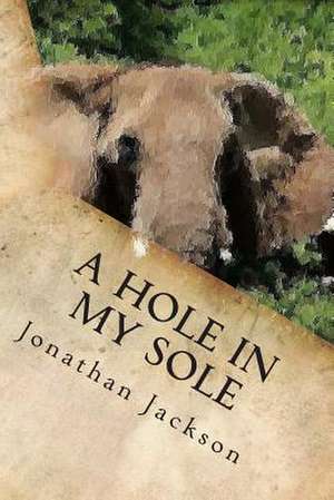 A Hole in My Sole de Jonathan C. Jackson