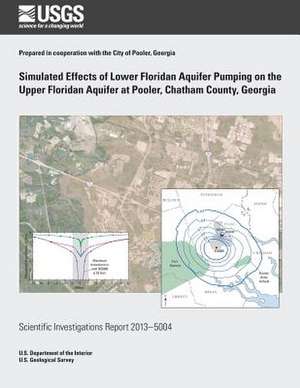 Simulated Effects of Lower Floridan Aquifer Pumping on the Upper Floridan Aquifer at Pooler, Chatham County, Georgia de Gregory S. Cherry