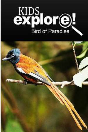 Birds of Paradise - Kids Explore de Kids Explore!