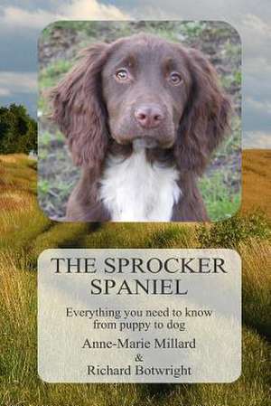 The Sprocker Spaniel de Anne-Marie Millard