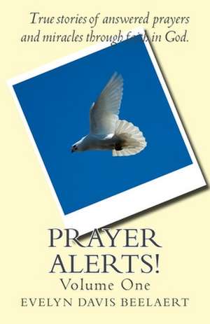 Prayer Alerts! de Evelyn Beelaert