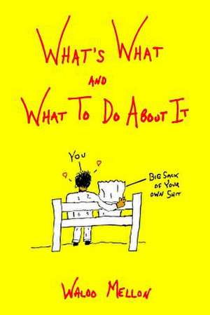 What's What and What to Do about It de Waldo Mellon