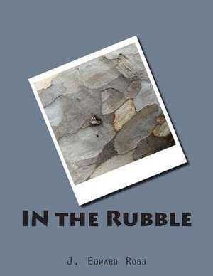 In the Rubble de J. Edward Robb