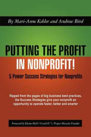 Putting the Profit in Nonprofit de Mari-Anne Kehler