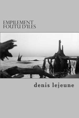 Empilement Foutu D'Iles de Denis Lejeune