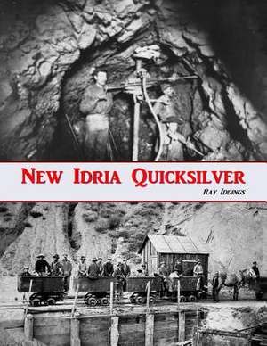 New Idria Quicksilver de Ray Iddings