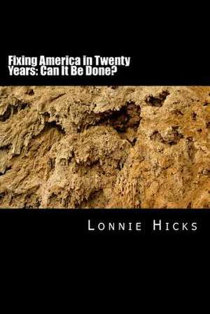 Fixing America in Twenty Years de MR Lonnie Hicks