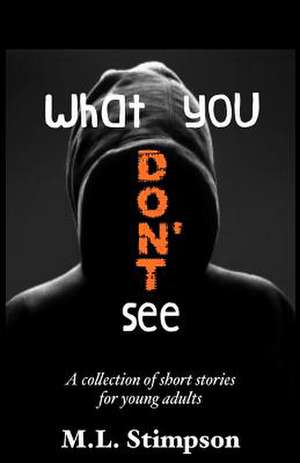 What You Don't See de M. L. Stimpson