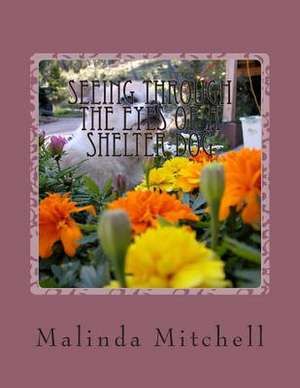 Seeing Through the Eyes of a Shelter Dog de Malinda Mitchell