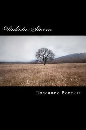 Dakota Storm de Roseanne Bennett