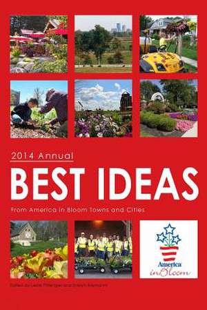 Best Ideas Annual 2014 de Leslie Pittenger