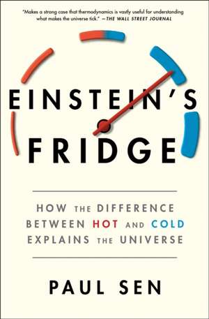 Einstein's Fridge de Paulsen