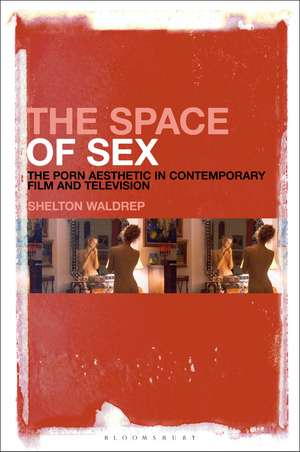 The Space of Sex: The Porn Aesthetic in Contemporary Film and Television de Professor of English Shelton Waldrep