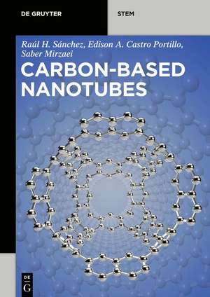 Carbon-Based Nanotubes de Raúl Hernández Sánchez