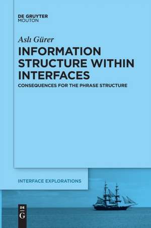 Information Structure Within Interfaces de Asli Gürer