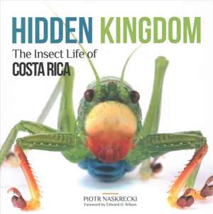 Hidden Kingdom – The Insect Life of Costa Rica de Piotr Naskrecki