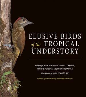 Elusive Birds of the Tropical Understory de John P. Whitelaw