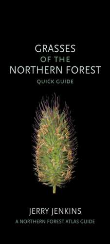 Grasses of the Northern Forest – Quick Guide de Jerry Jenkins