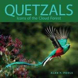 Quetzals – Icons of the Cloud Forest de Alan F. Poole