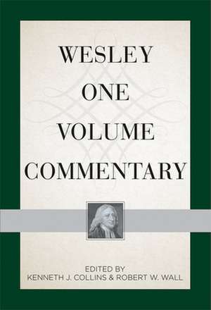 Wesley One Volume Commentary de David Desilva