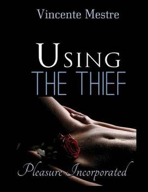 Using the Thief de Vicente Mestre