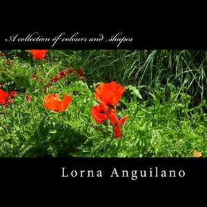 A Collection of Colours and Shapes de Dr Lorna Anguilano