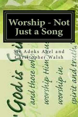 Worship - Not Just a Song de Christopher B. Walsh