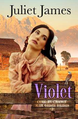 Violet - Book 3 Come by Chance Mail Order Brides de Juliet James