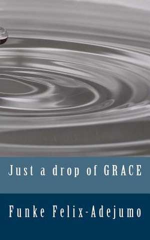 Just a Drop of Grace de Funke Felix-Adejumo