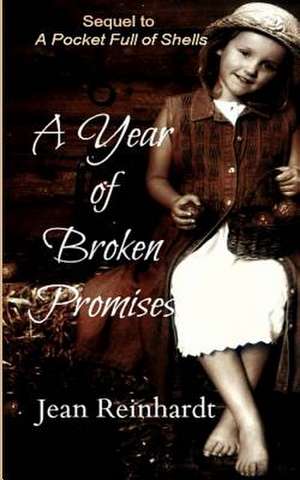 A Year of Broken Promises de Jean Reinhardt