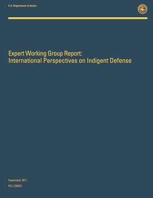 Expert Working Group Report de U. S. Department Of Justice