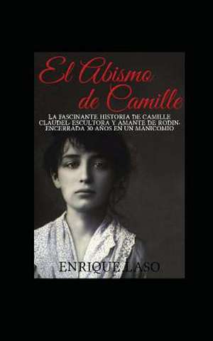 El Abismo de Camille de Enrique Laso