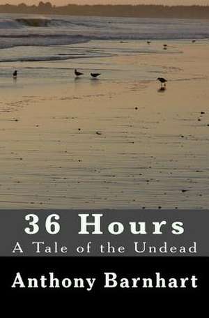 36 Hours de Anthony Barnhart