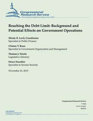 Reaching the Debt Limit de Mindy R. Levit