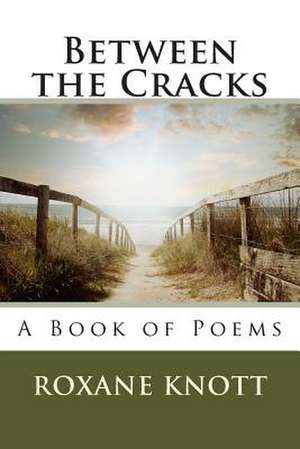 Between the Cracks de Roxane Knott