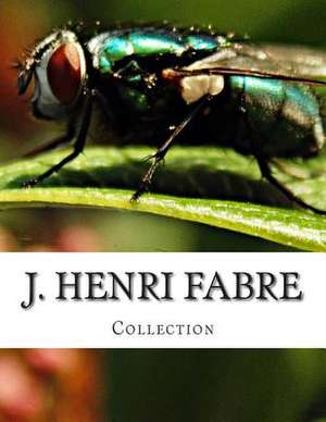 J. Henri Fabre, Collection de J. Henri Fabre