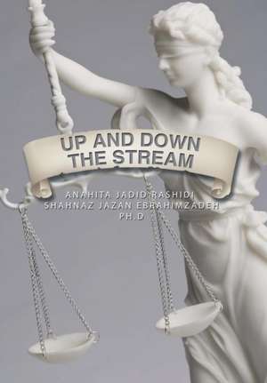 Up and Down the Stream de Anahita Rashidi