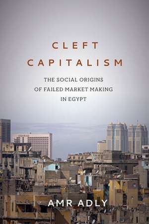 Cleft Capitalism de Amr Adly