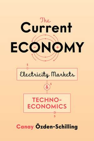 The Current Economy – Electricity Markets and Techno–Economics de Canay Özden–schilling