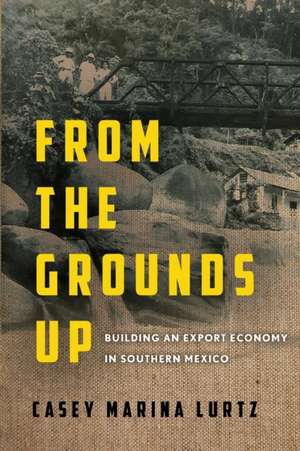 From the Grounds Up de Casey Marina Lurtz