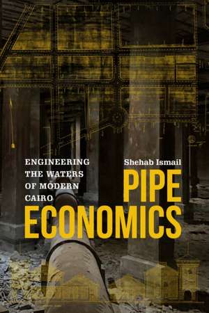 Pipe Economics de Shehab Ismail
