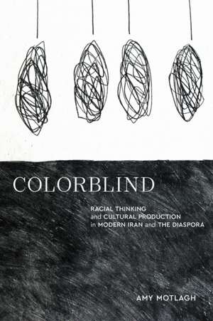 Colorblind de Amy Motlagh