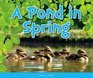 A Pond in Spring de M. J. York